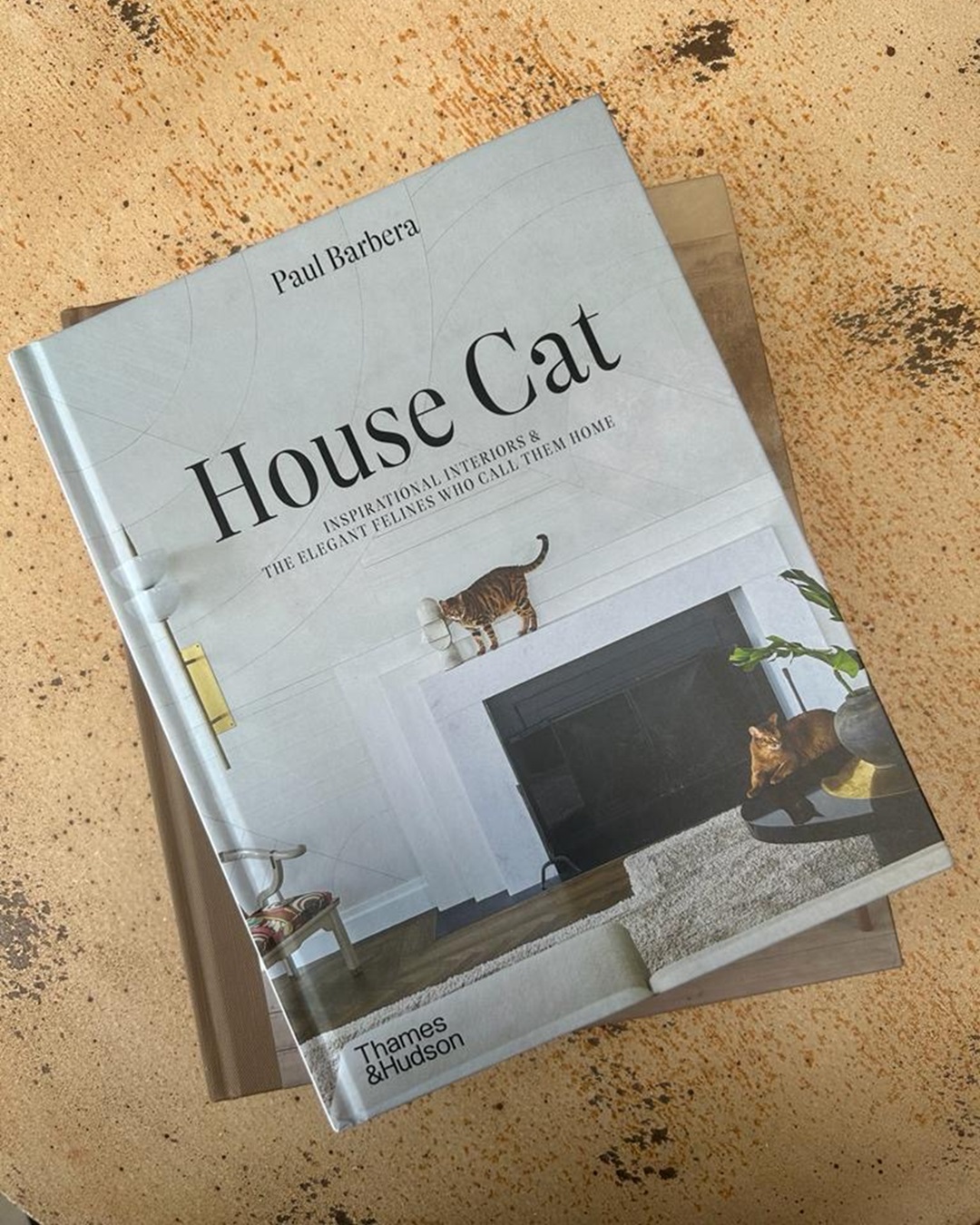 House of cat hardcover book on wooden table