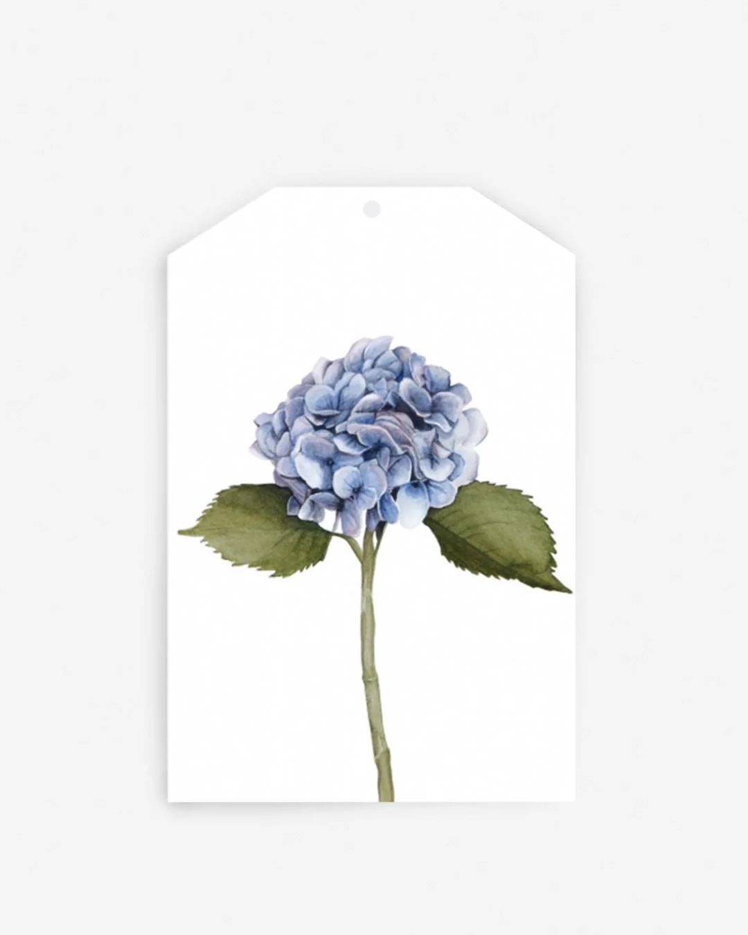 Blue hydrangea gift tag