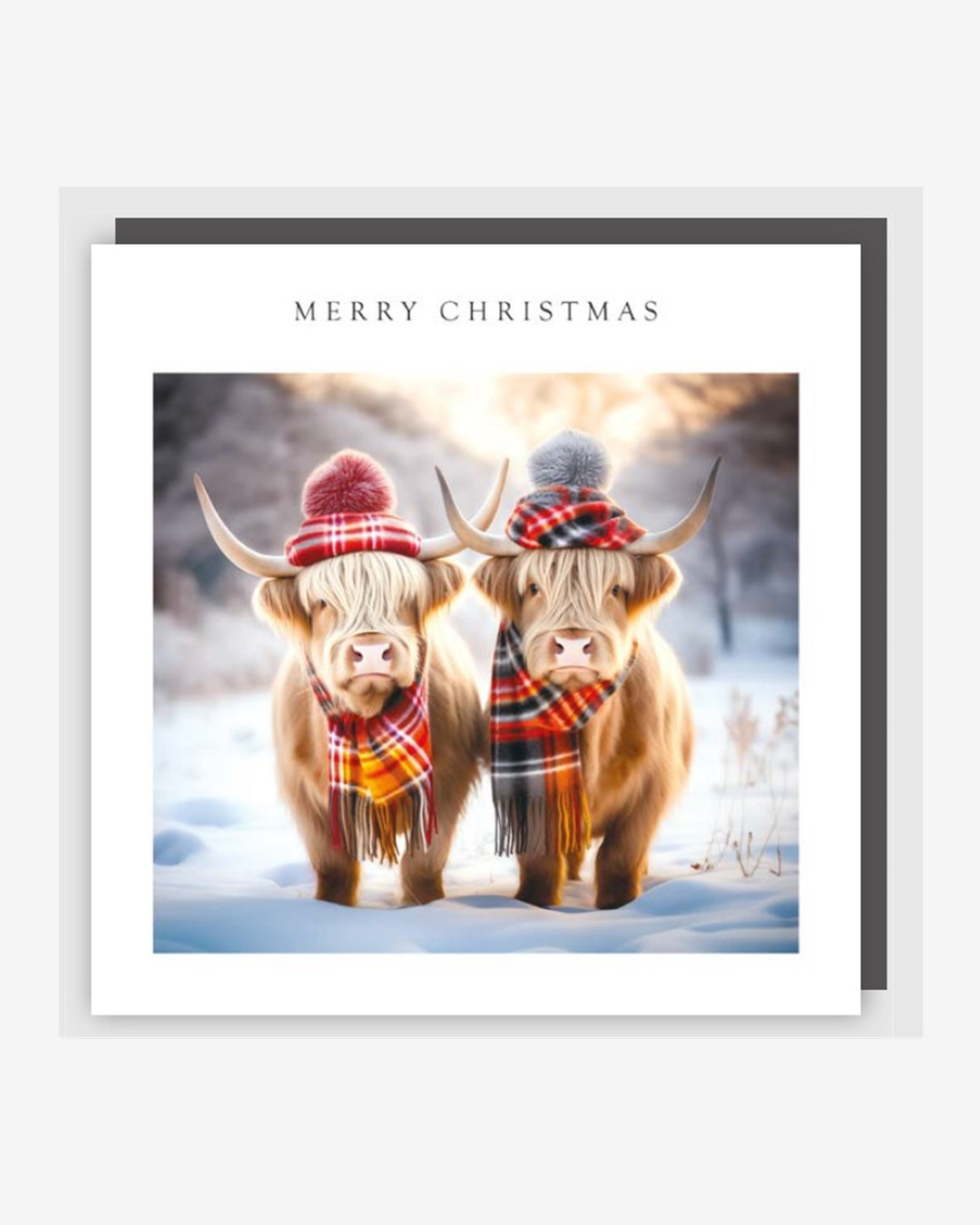 Merry Christmas highland cows card