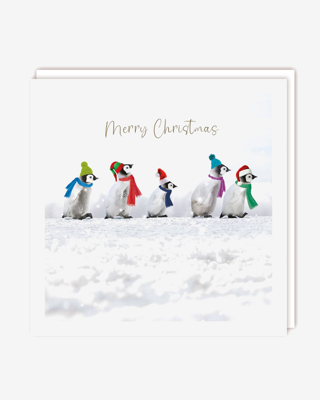 Merry Christmas penguins in the snow card