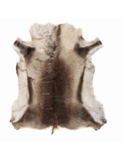 Reindeer hide high grade light