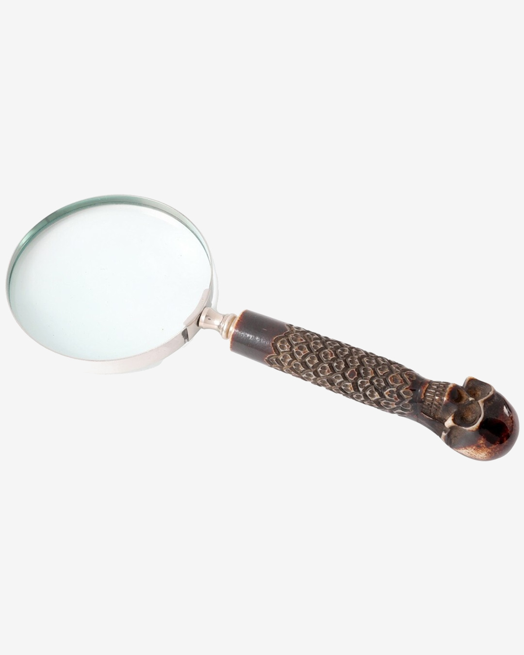 Skull handle magnifier