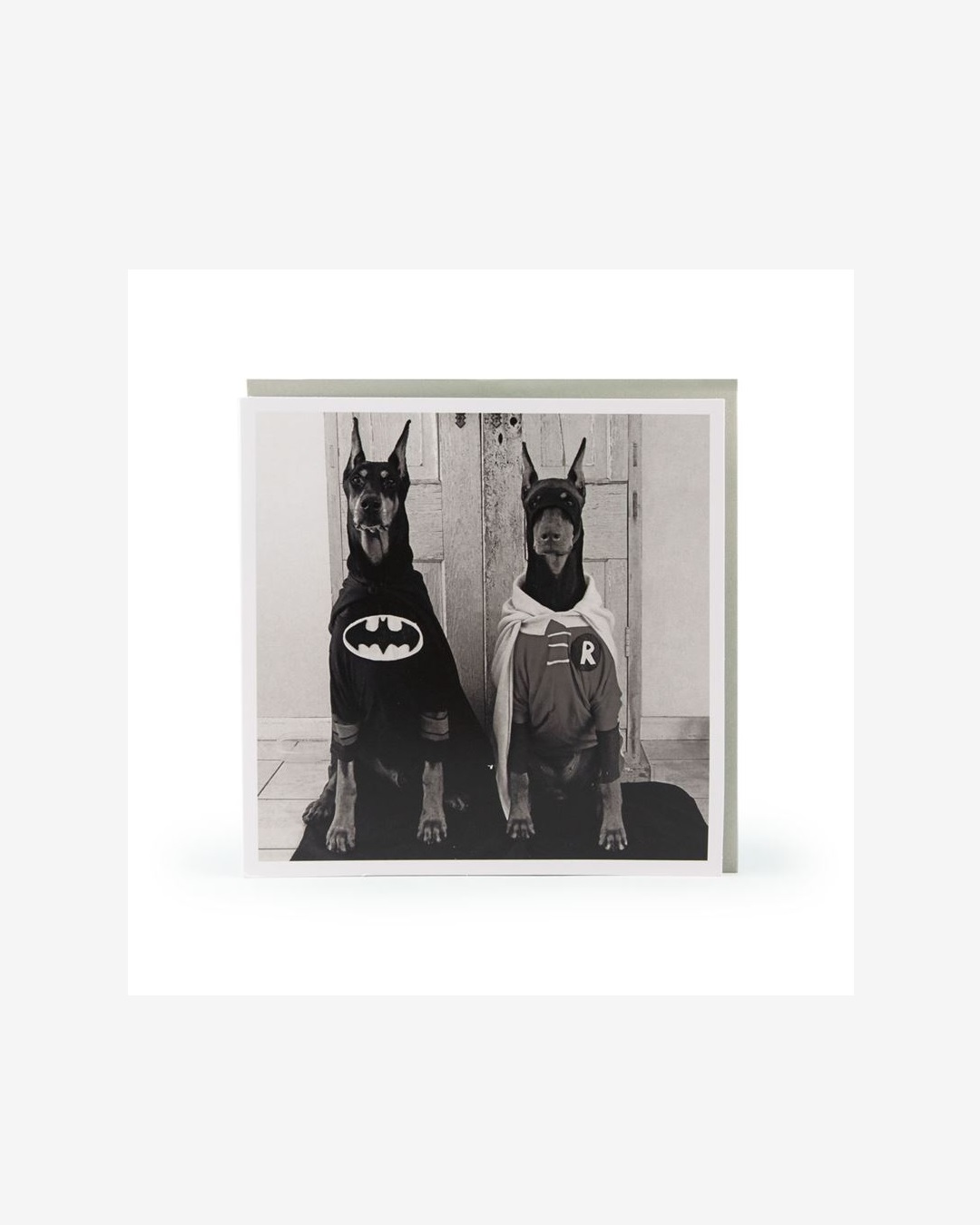 Two dogs dressed as super heroes on card in black and white