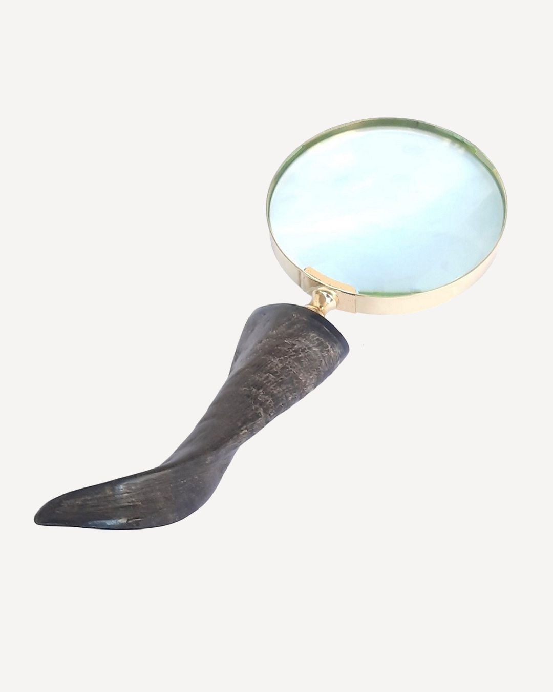 Twisted horn magnifier