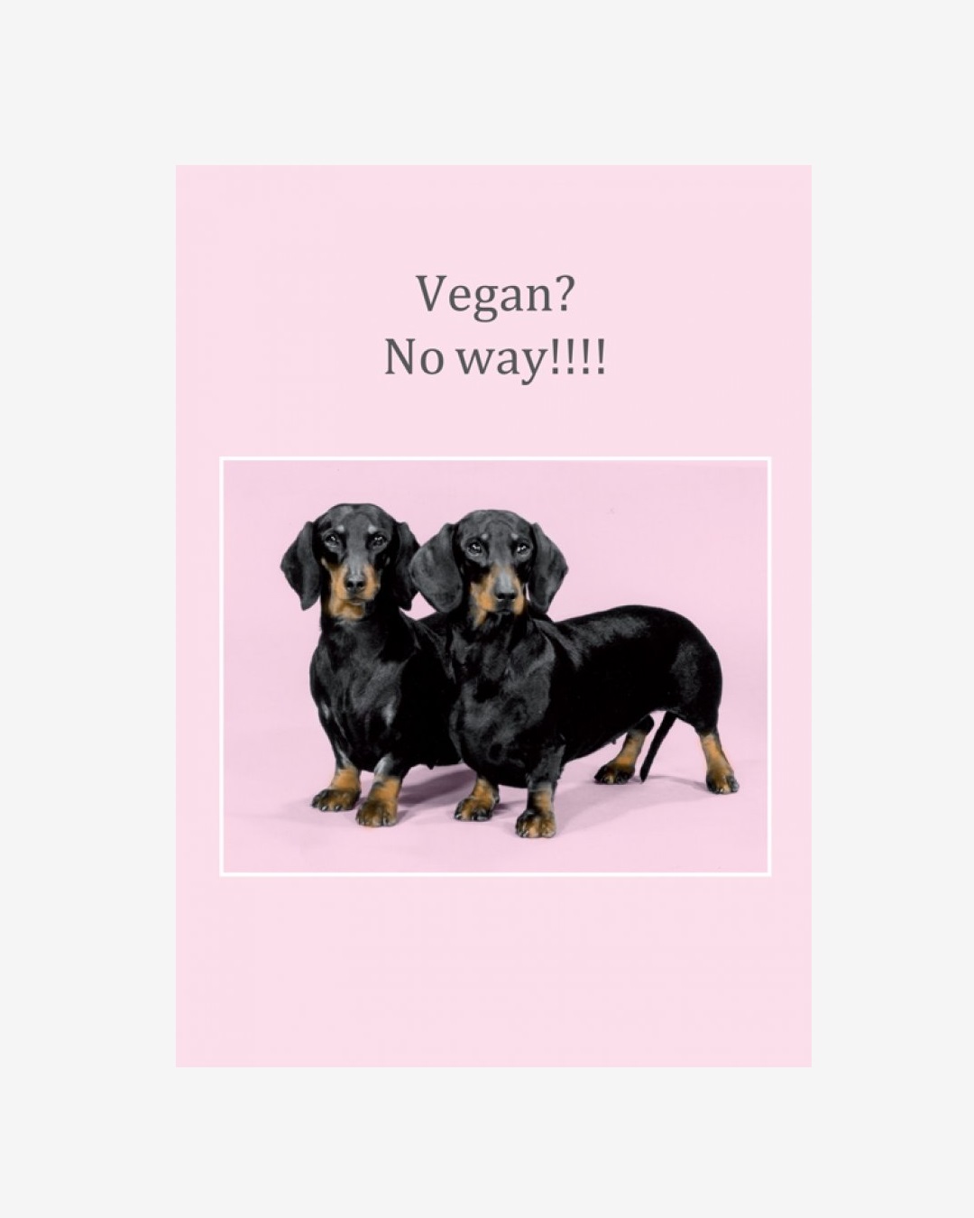 dachshund fog card vegan no way