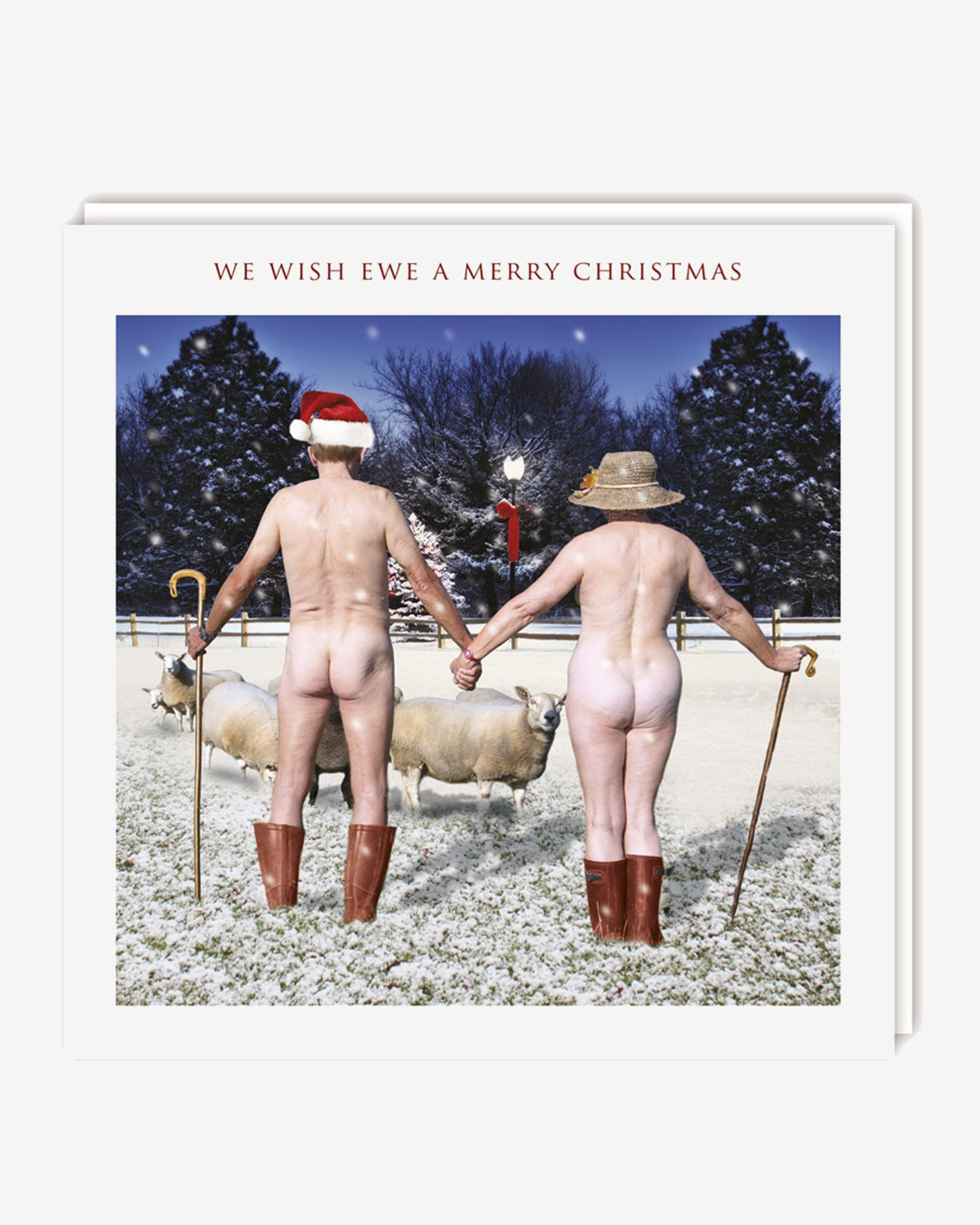 We wish ewe a Merry Christmas card