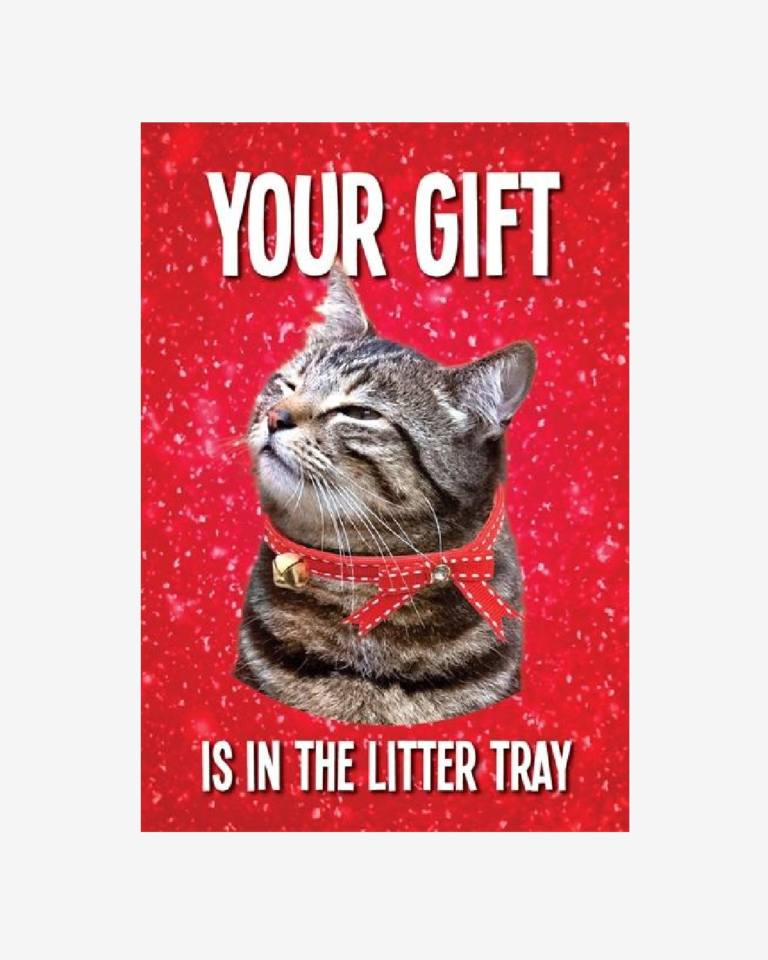 Your gift is in the litterbox cat Christmas card